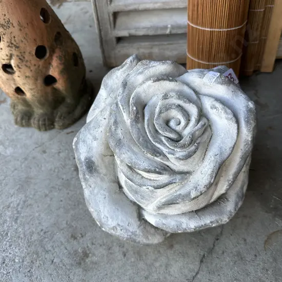 concrete rose