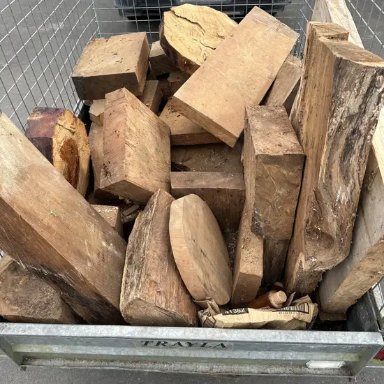 Wood Turners haven - large lot of native and hardwoods (not the trailer)