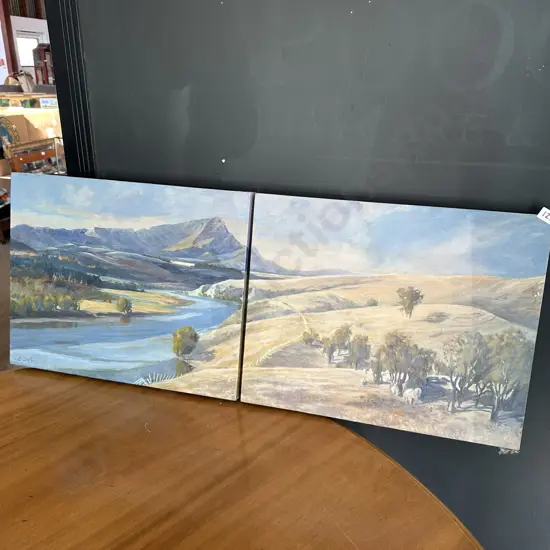 Painting of the Tuki Tuki valley by Brian Sellers