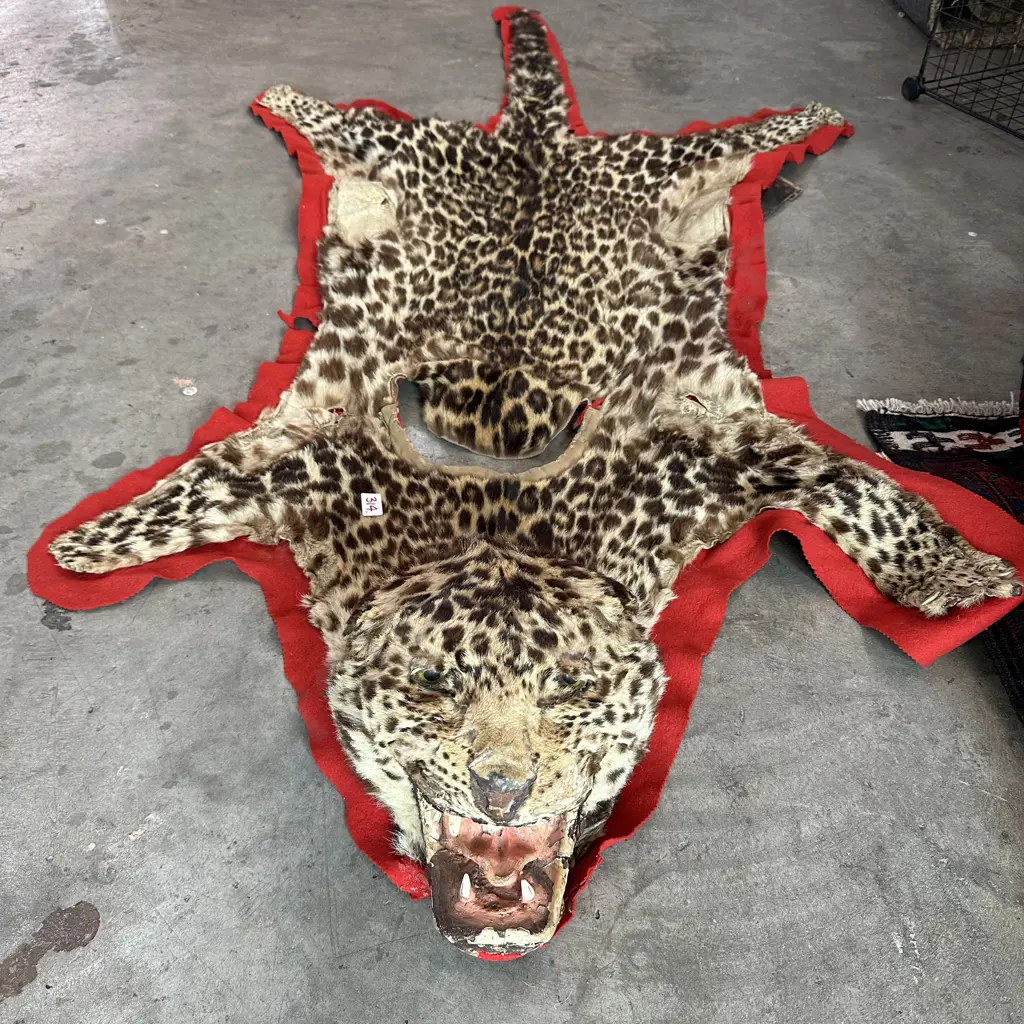 Leapord skin Image 1++