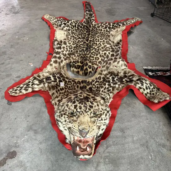 Leapord skin