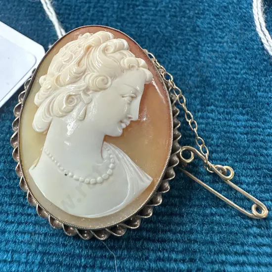 Cameo brooch set in 9ct
