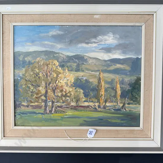 Oil painting by Carl Laugeson, Maraekakaho (looking from sports grounds)