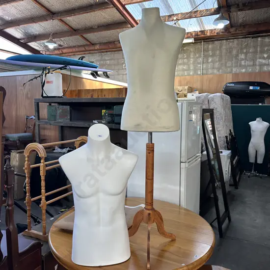 1 model on stand and 1 bust