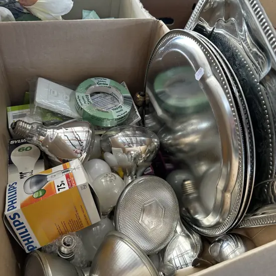 light bulbs and trays