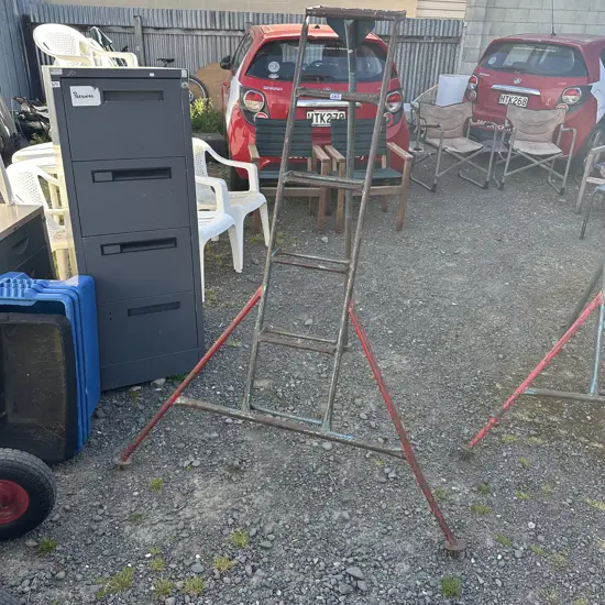 medium orchard ladder