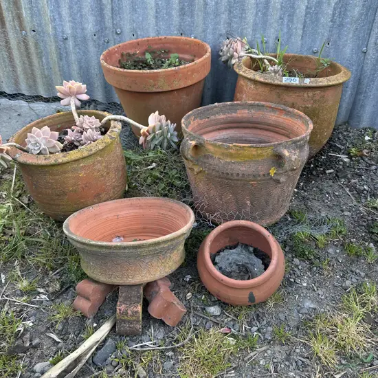Terracotta planters