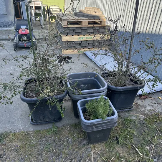 large plastic planters