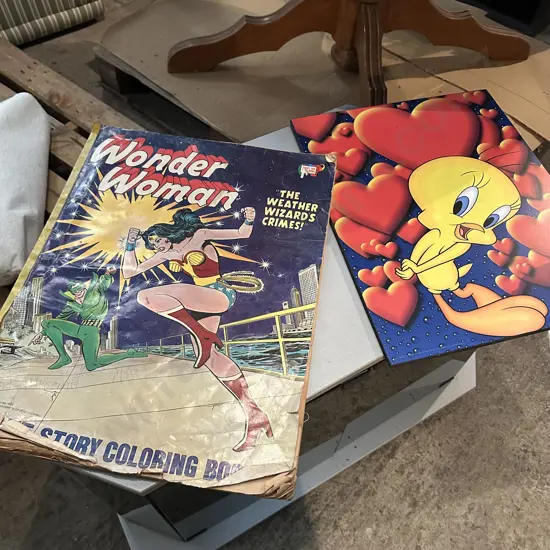 large vintage wonder woman colour in book plus tweete