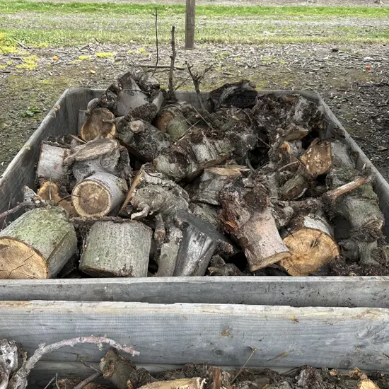apple bin of fruitwood (not the bin)