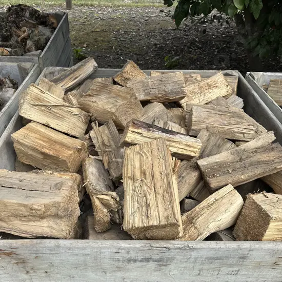 apple bin of Mac (not the bin)