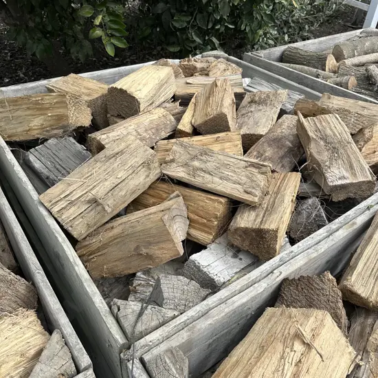 apple bin of mac (not the bin)