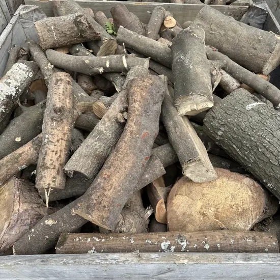 apple bin of mixed wood (not the bin)