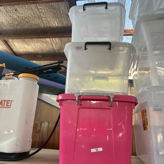 3 good lidded bins (one Pink)