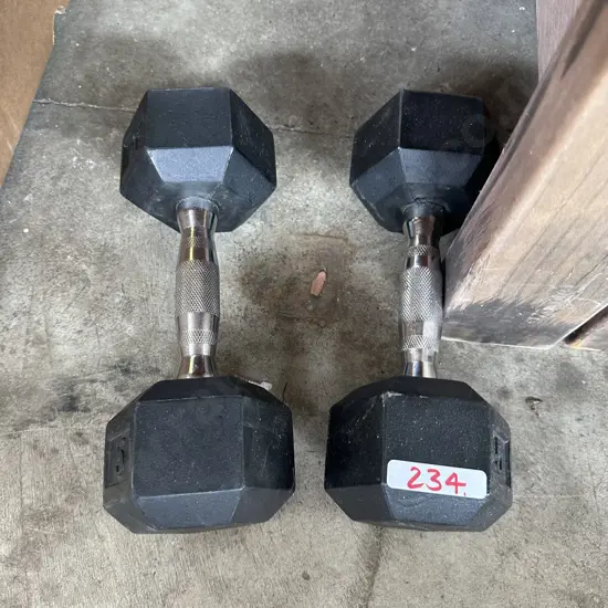 Pair weights (5kg each)