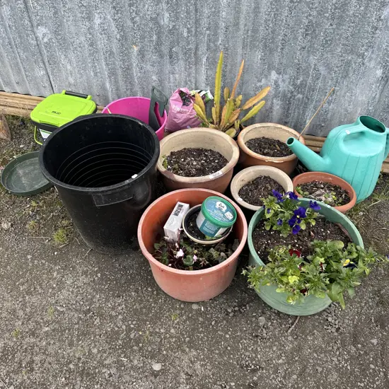 Plants, planters, bin, watering can etc