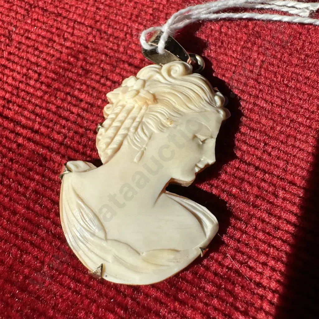 Cameo set on 9ct Gold backing & pendant Image 1++