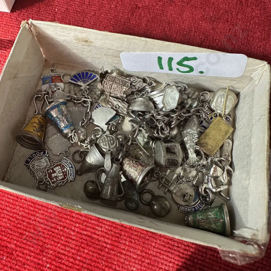 Charms and bracelets Image 1++