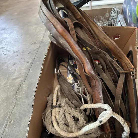 Leatherware and whip etc