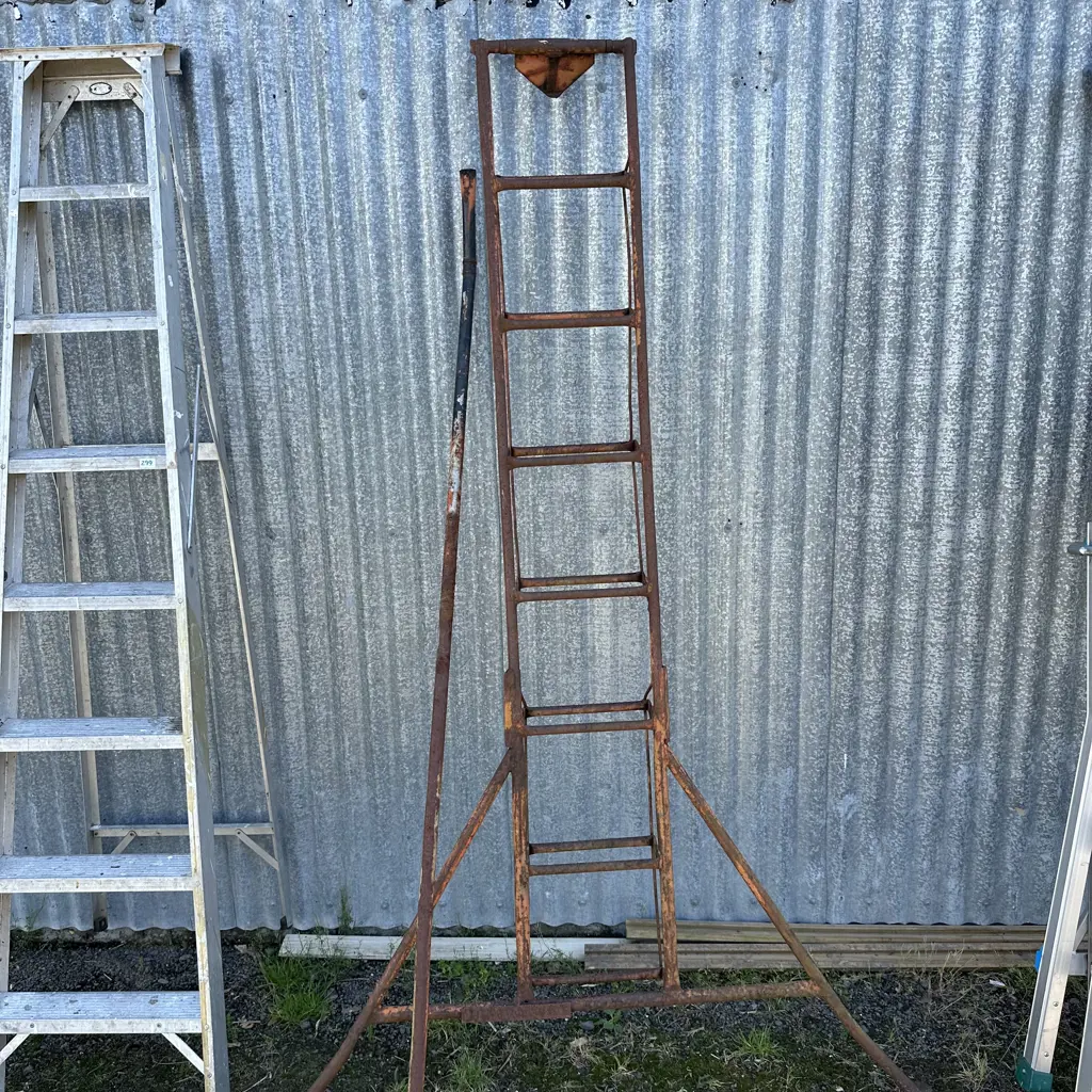 orchard ladder as is Image 1++