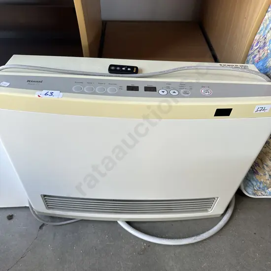 Rinnai natural gas heater with remote