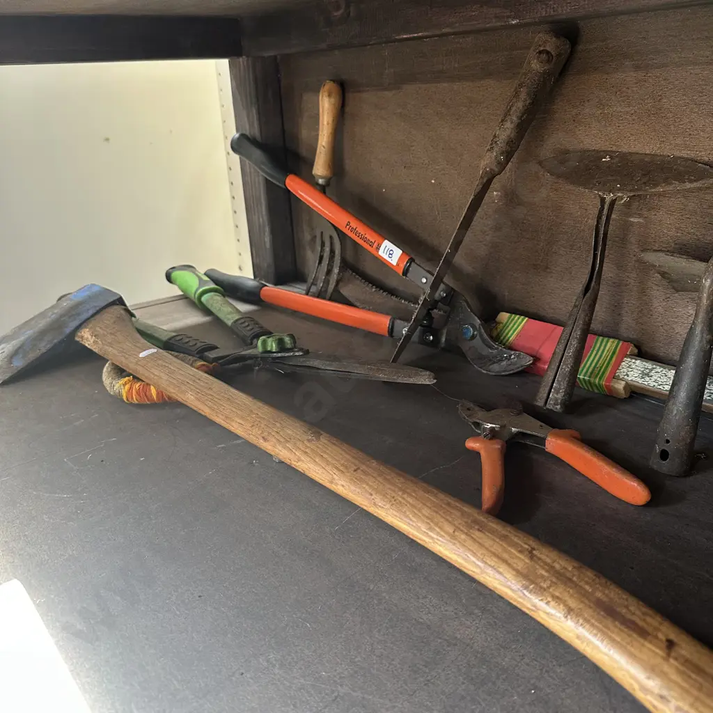 tools inc Bacho pruners plus axe Image 1++