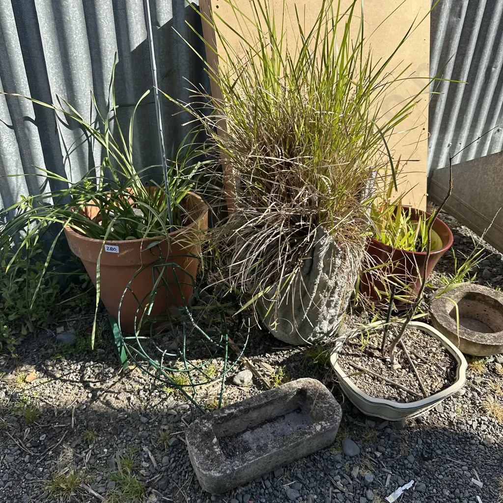 Pots and planters etc. Image 1++