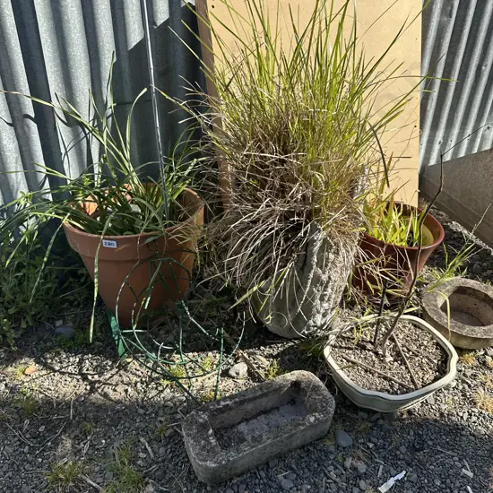 Pots and planters etc.