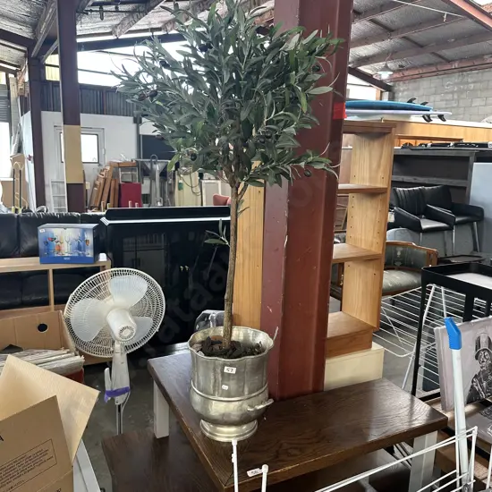 Champagne bucket with decorative Olive tree