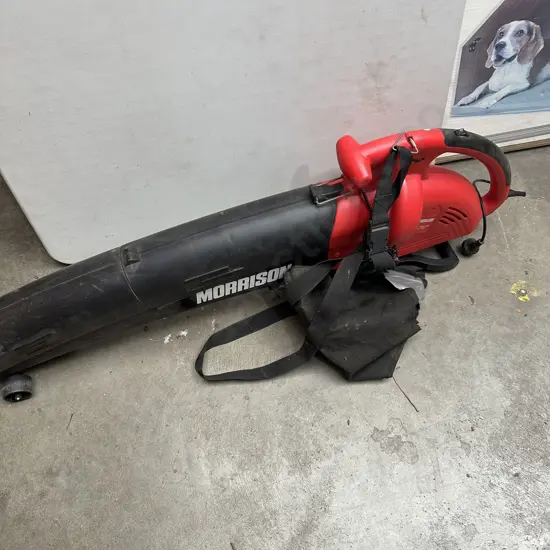 Blower/vac (rip in bag)