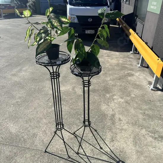 2 Plant stands and arrangements