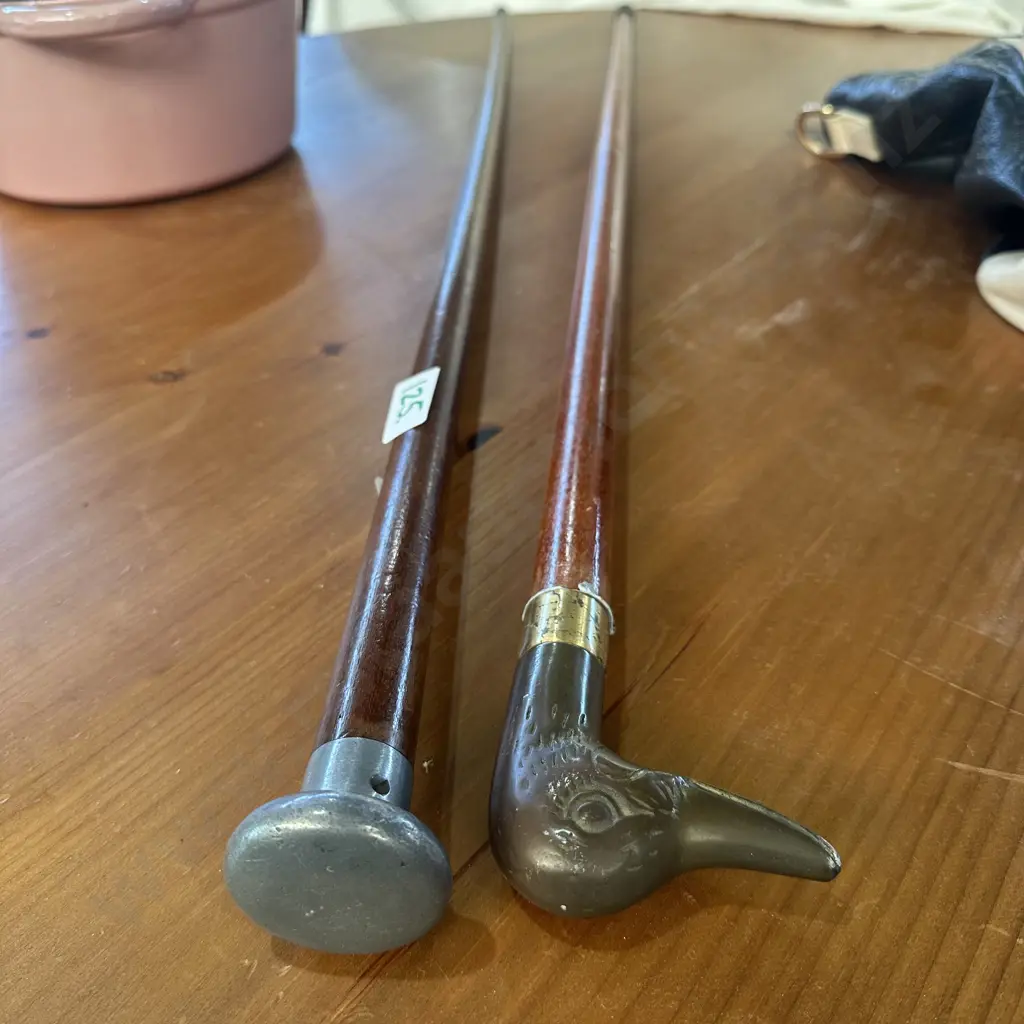 Two walking sticks Image 1++