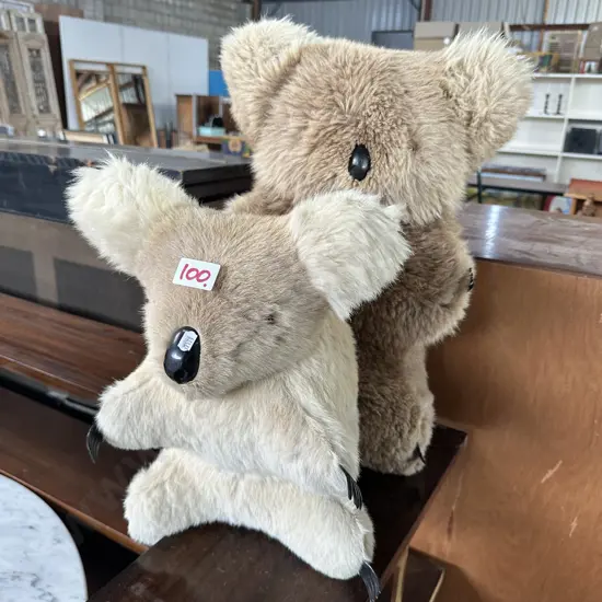 Two Koalas