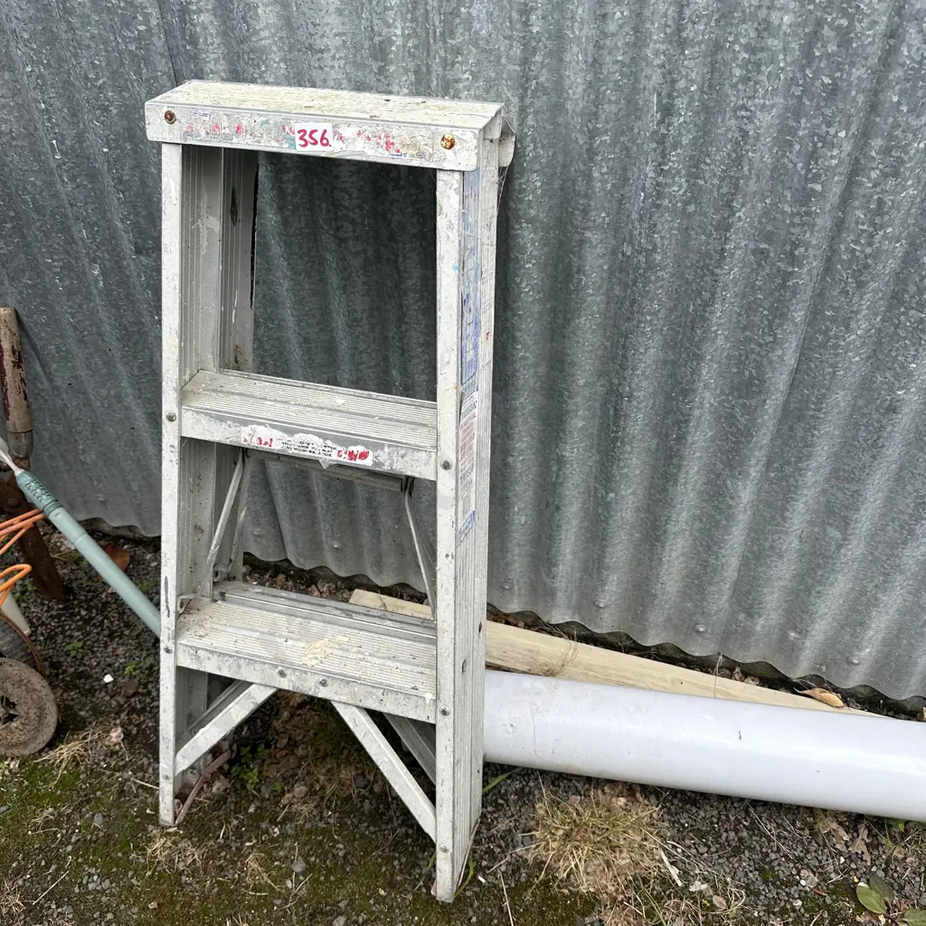 Buddy step ladder Image 1++
