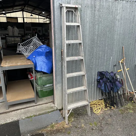 7 Foot ladder and garden hoe.