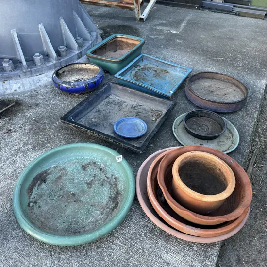 planters and trays