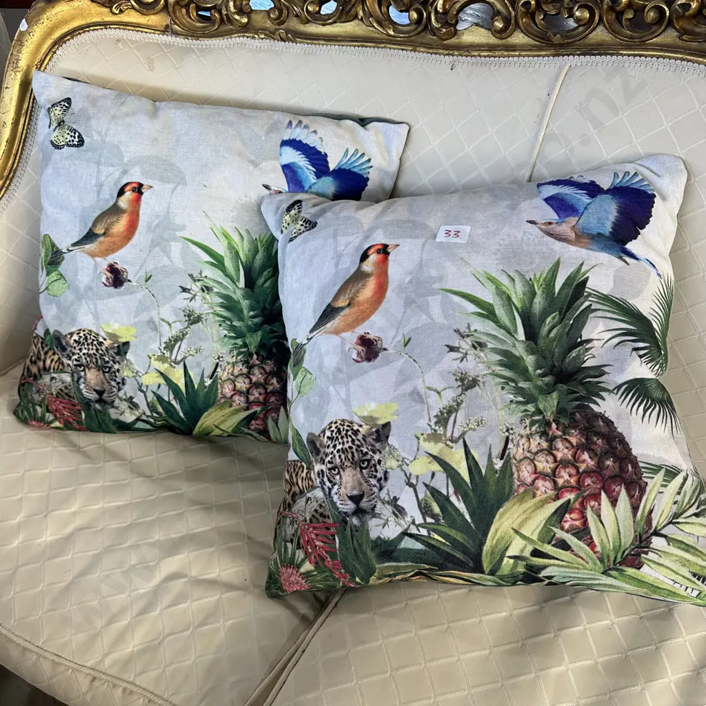 Pr cushions Image 1++