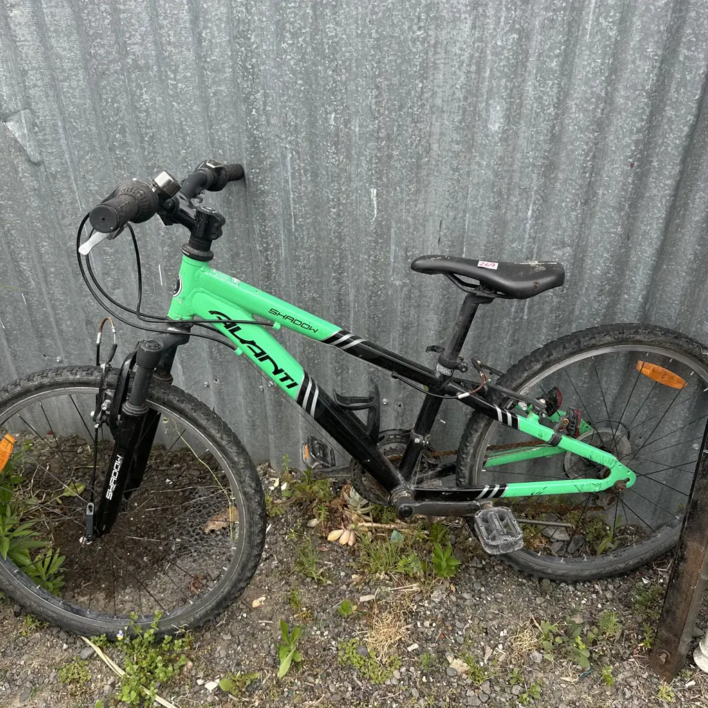 avanti bike Image 1++