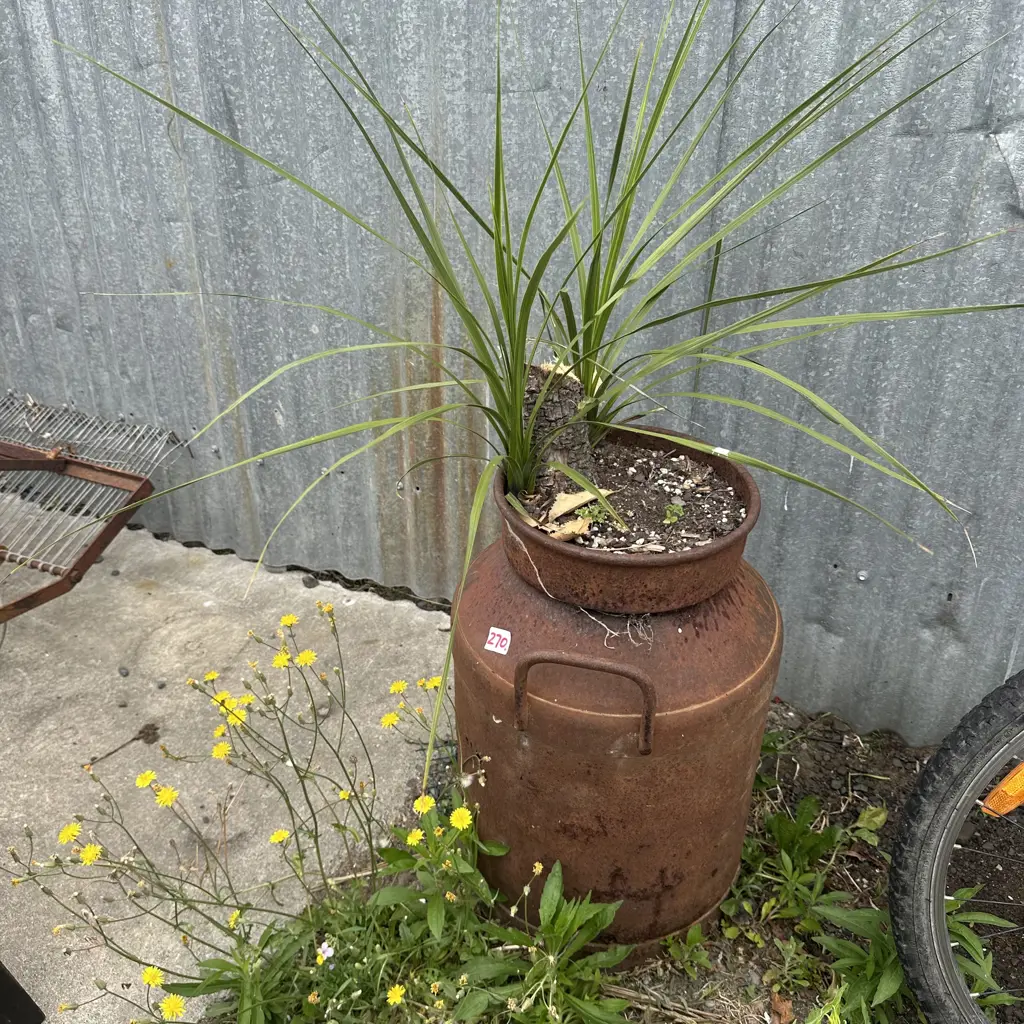 cream can planter Image 1++