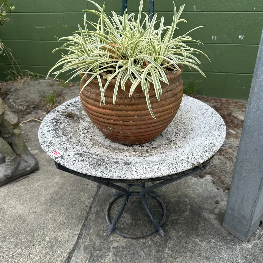 bird bath on metal frame -cracked, plus potted plant Image 1++