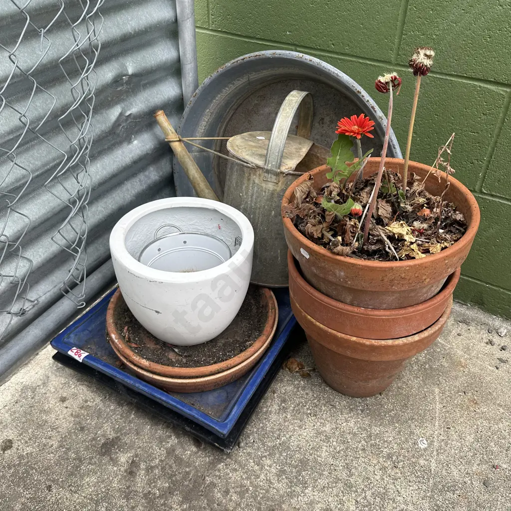 trays, pots etc Image 1++