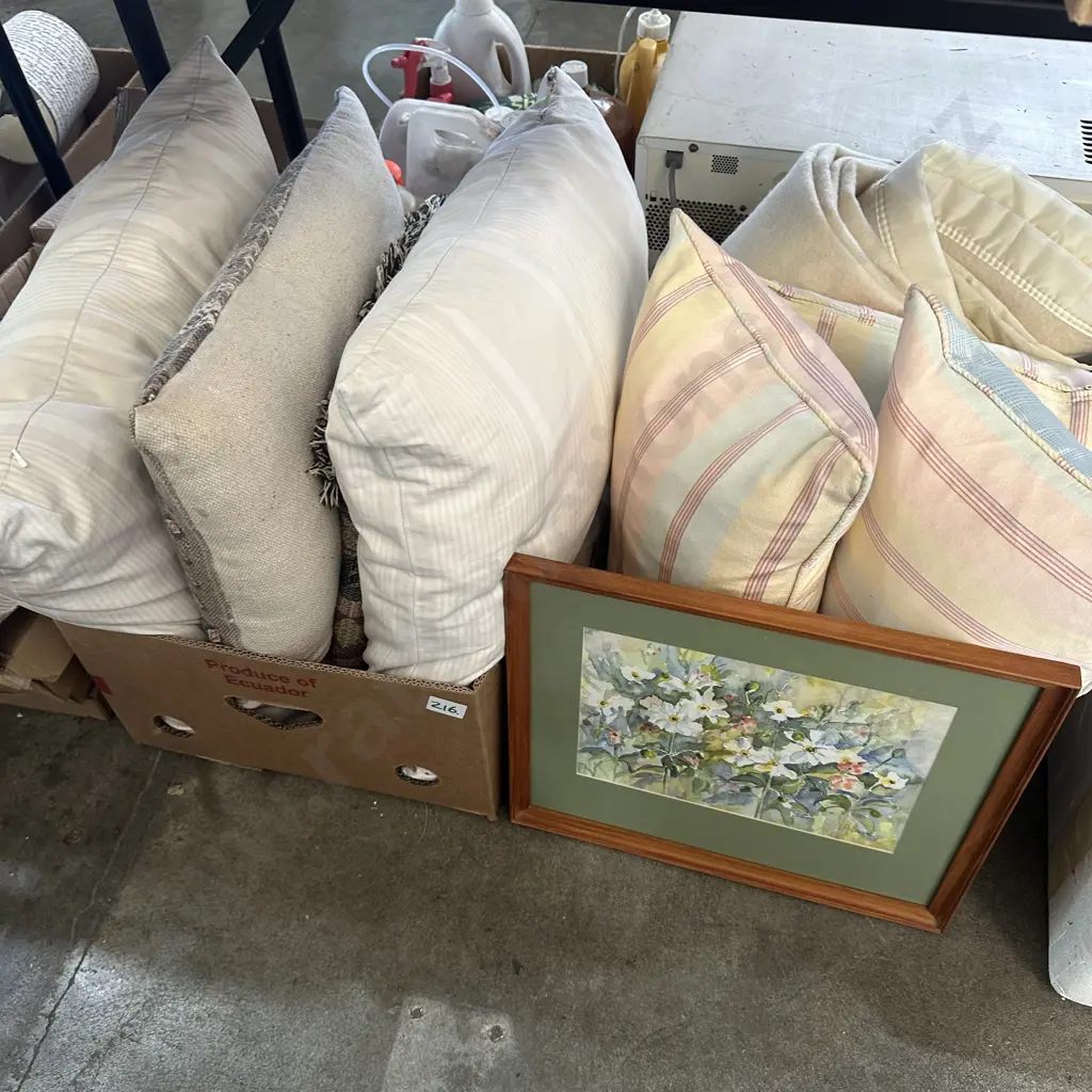 Two boxes cushions, blanket, picture Image 1++
