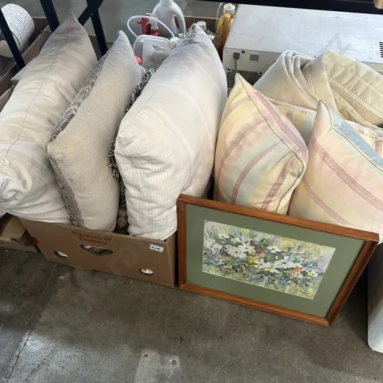 Two boxes cushions, blanket, picture