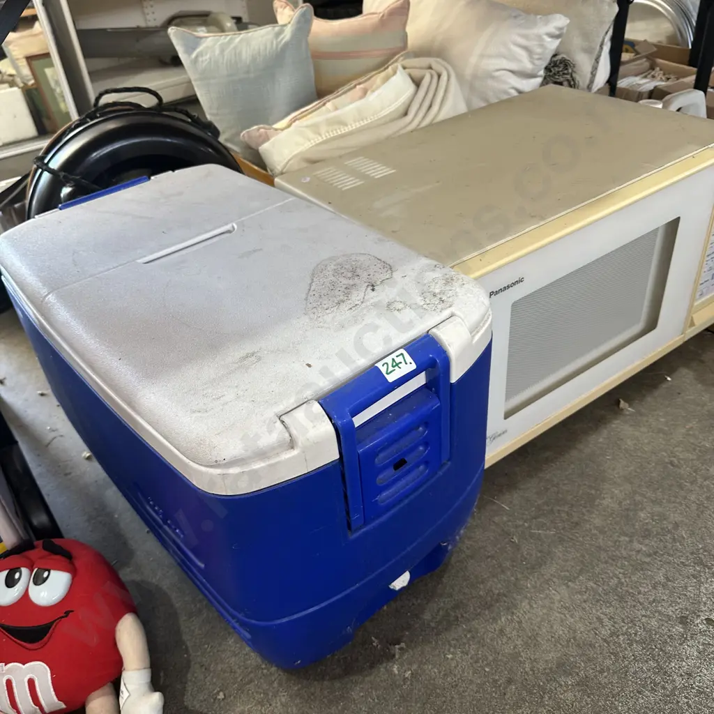 Microwave and chilly bin Image 1++