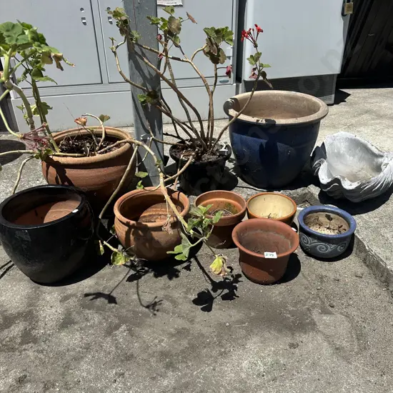 Collection of pots and planters.