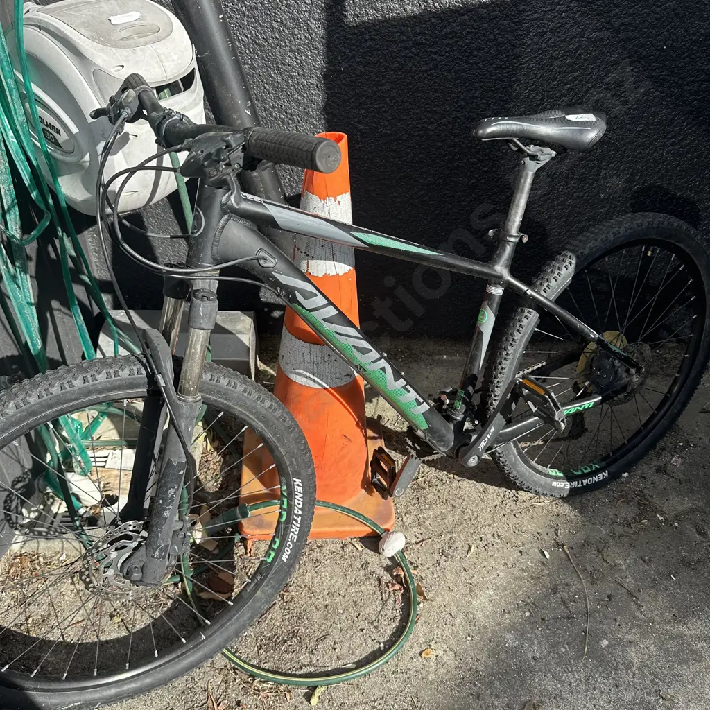 mountain bike Image 1++