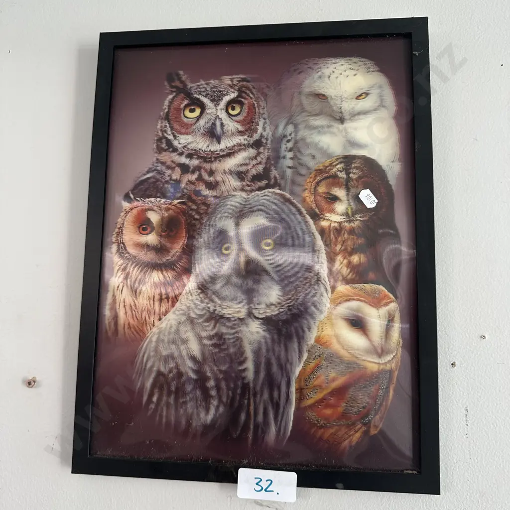 holographic owls Image 1++