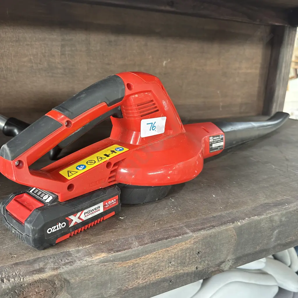 leaf blower, working but needs charger Image 1++