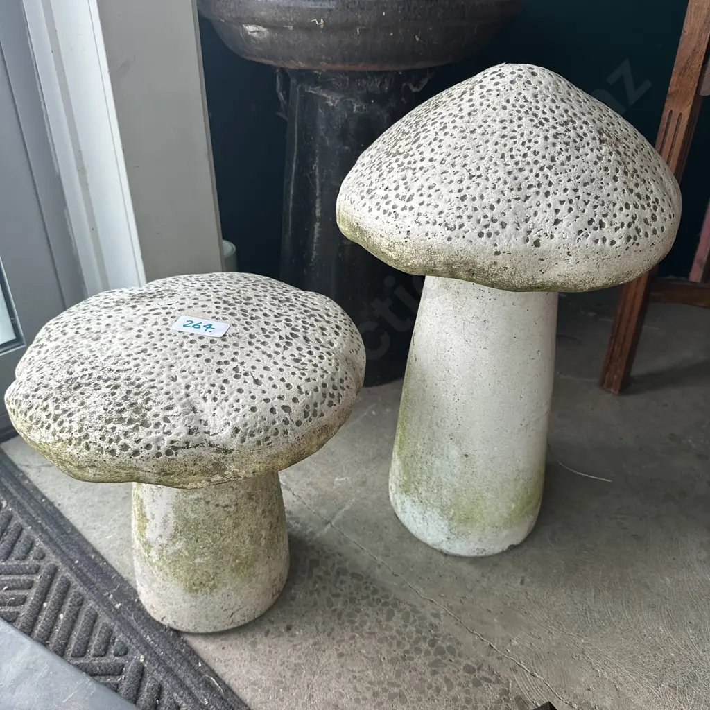 Pr toadstools 350mm and 500mm Image 1++