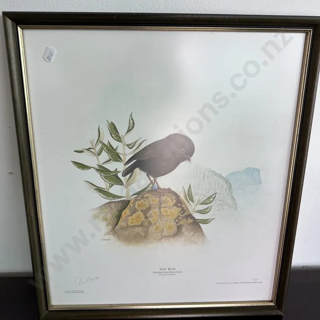 2 ltd edition bird prints Image 1++